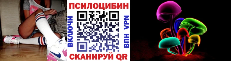 MEGA ONION  цены   Новосиль  Псилоцибиновые грибы GOLDEN TEACHER 